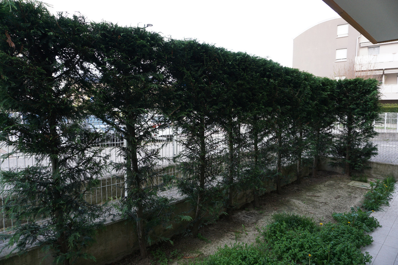 Appartamento in affitto a Spinea