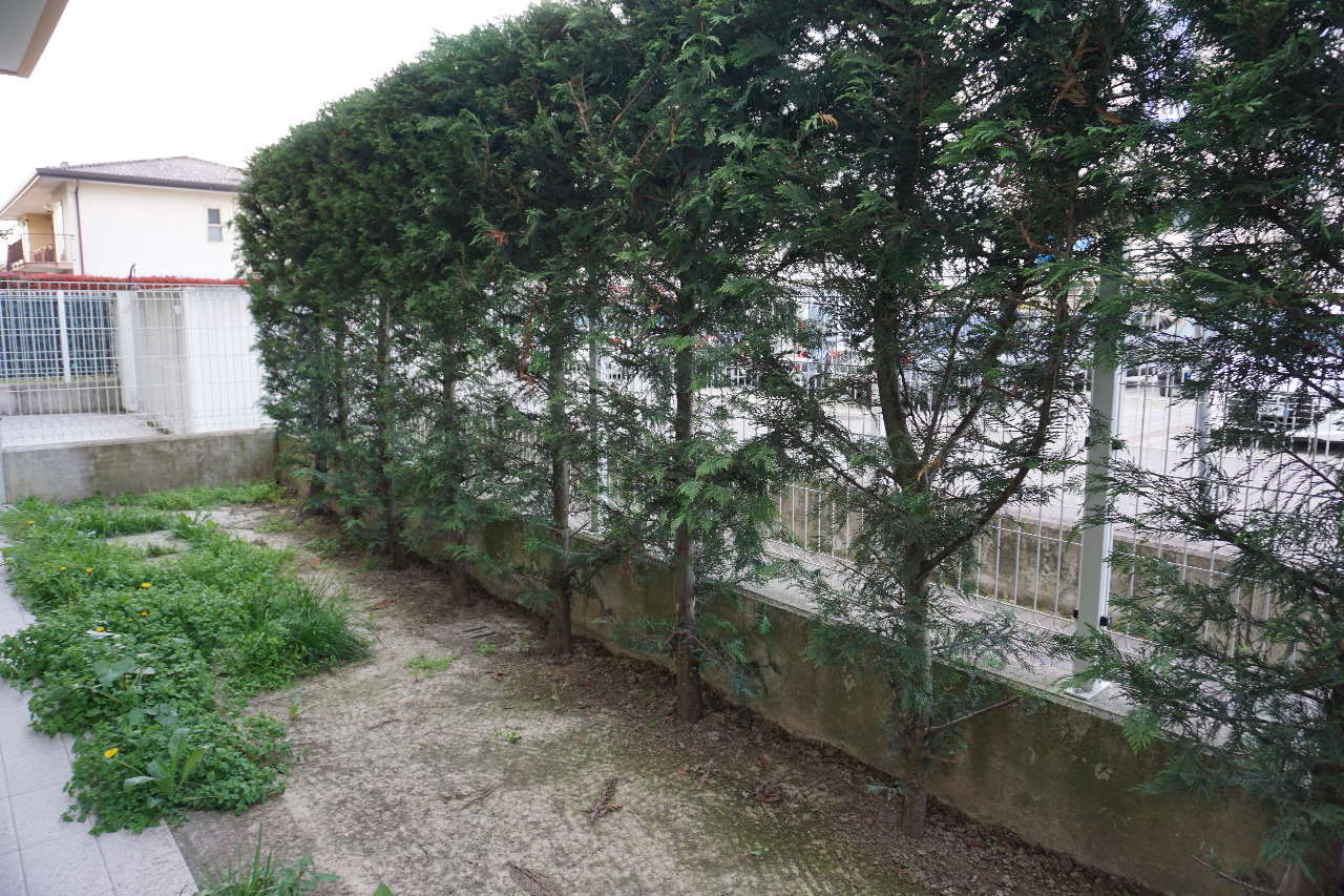 Appartamento in affitto a Spinea