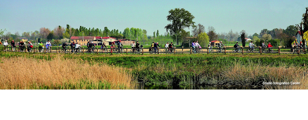 Terrreni edificabili in vendita a Quarto d'Altino