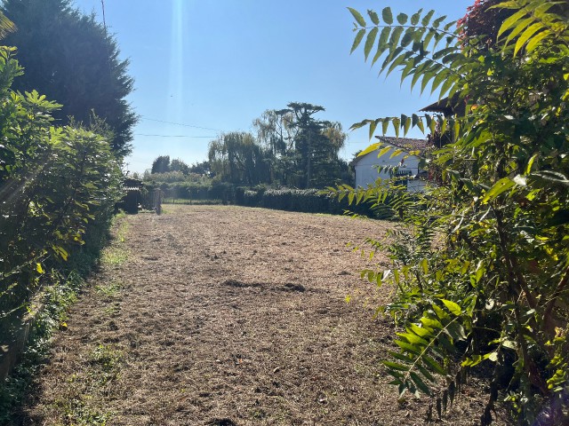 Magazzino  in Vendita a Quarto d'Altino