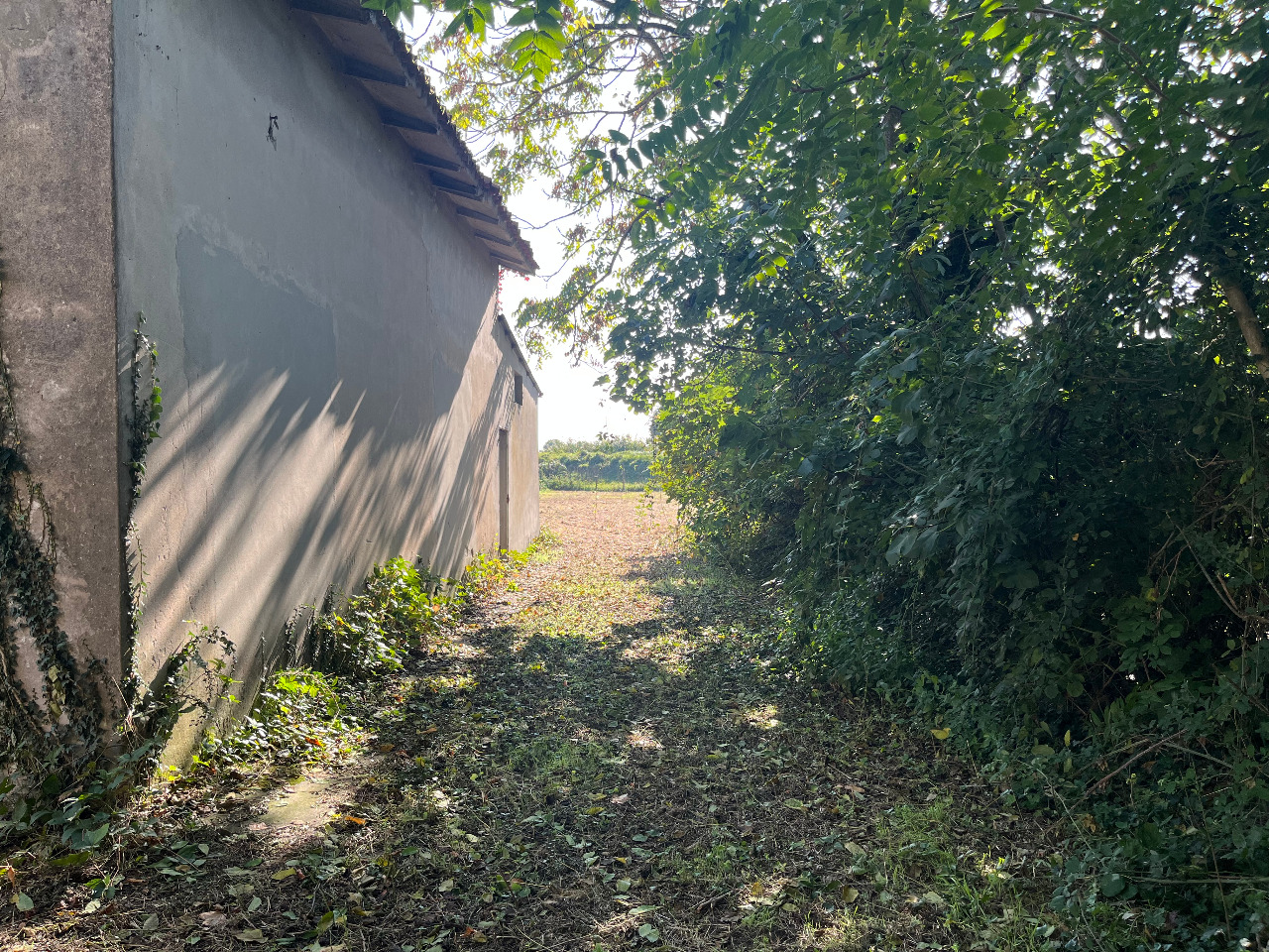 Magazzino in vendita a Quarto d'Altino