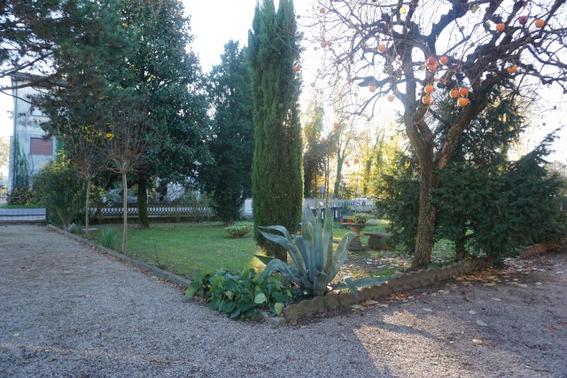 Appartamento in Affitto a Meolo